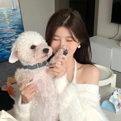 机械特工